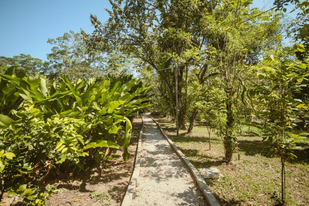 Cabanas Kin Balam Palenque Hotel Buitenkant foto